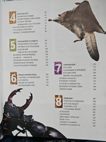 1000 чудес природы