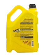 0W30 XTS A3/B4, API SN/CF 5L (синт. моторное масло)