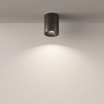 Потолочный светильник Technical C029CL-01B