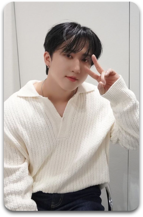 Карта / STRAY KIDS #2531