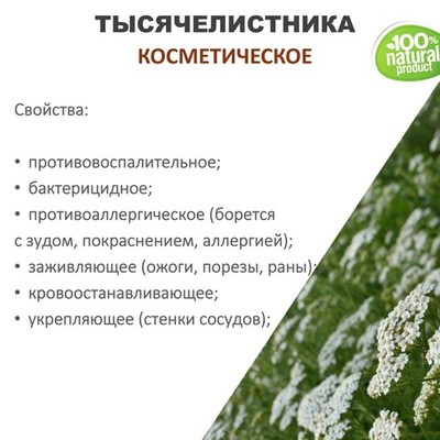 Тысячелистника масло, косметическое, 100 мл
