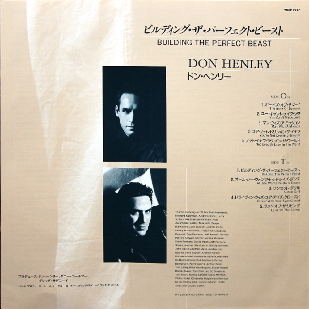 Don Henley / Building The Perfect Beast (LP)