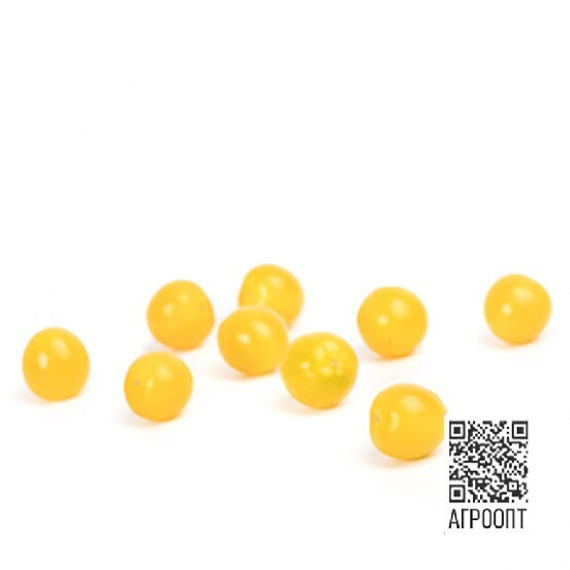 Сансери F1 семена томата (Rijk Zwaan / Райк Цваан) продукт – фото 2