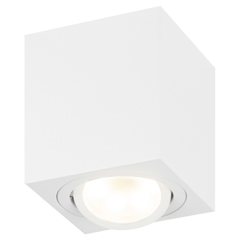 Светильник настенно-потолочный спот ЭРА OL22 WH MR16/GU10, белый, поворотный | Накладные светильники