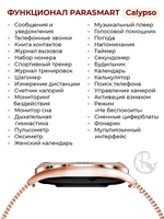 Смарт часы PARASMART Calypso V66, серебристый