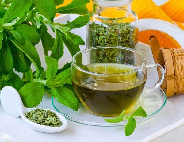 Сладкая жизнь диабетика с «медовой травой»