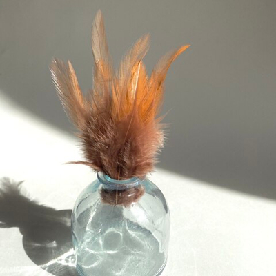 Перья петуха карамельный латте 7 - 13 см. 20 шт.