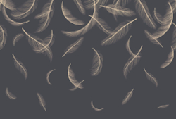 Коллекция Геометрия