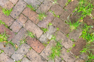 Как защитить тротуарную плитку от сорняков