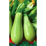 Семена Кабачок Грибовские 37 (Марс) 2гр Б/П