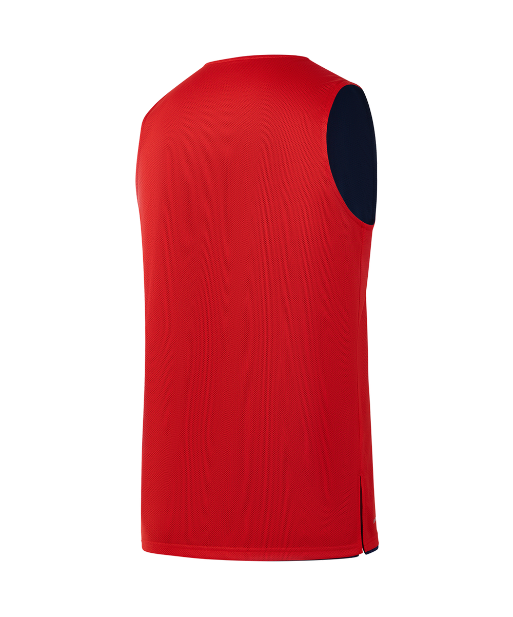 Майка двухсторонняя DIVISION PerFormDRY Double-Side RBF Jersey, темно-синий/красный