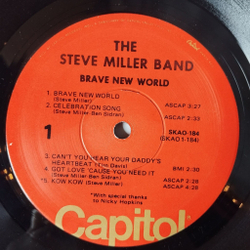 Винтажная виниловая пластинка LP The Steve Miller Band Brave New World (USA 1969)