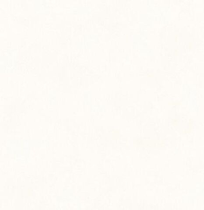 Обои матовые с иммитацией штукатурки BLONE1001