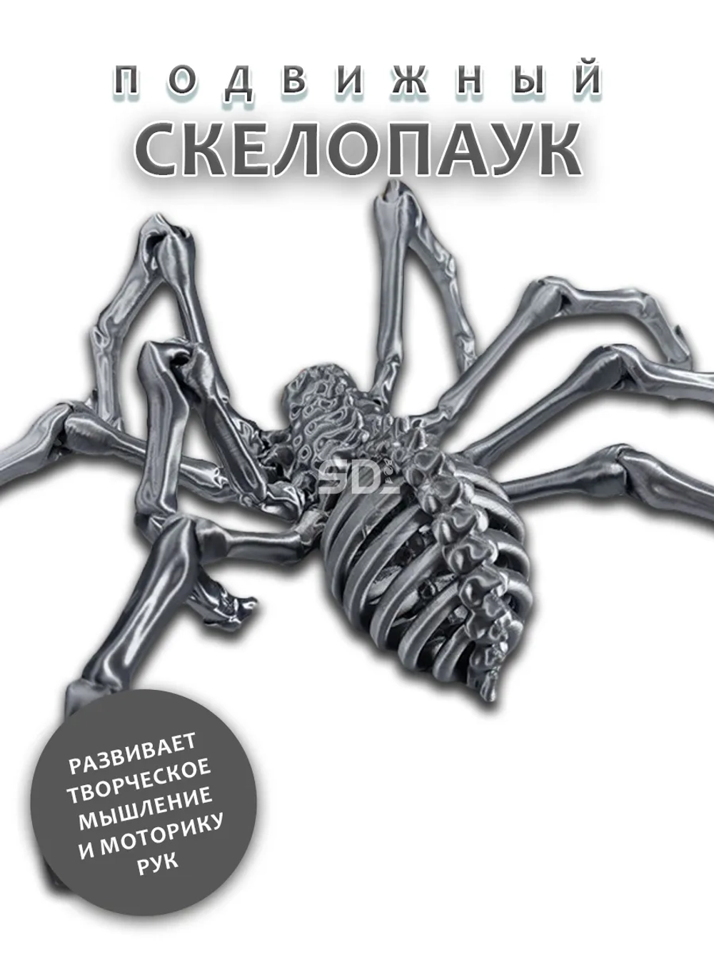 Скелет Паук