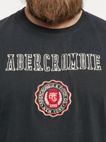 Футболка Abercrombie & Fitch ABF25