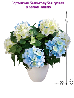 Искусственные цветы Гортензия бело-голубая густая 40см в белом кашпо