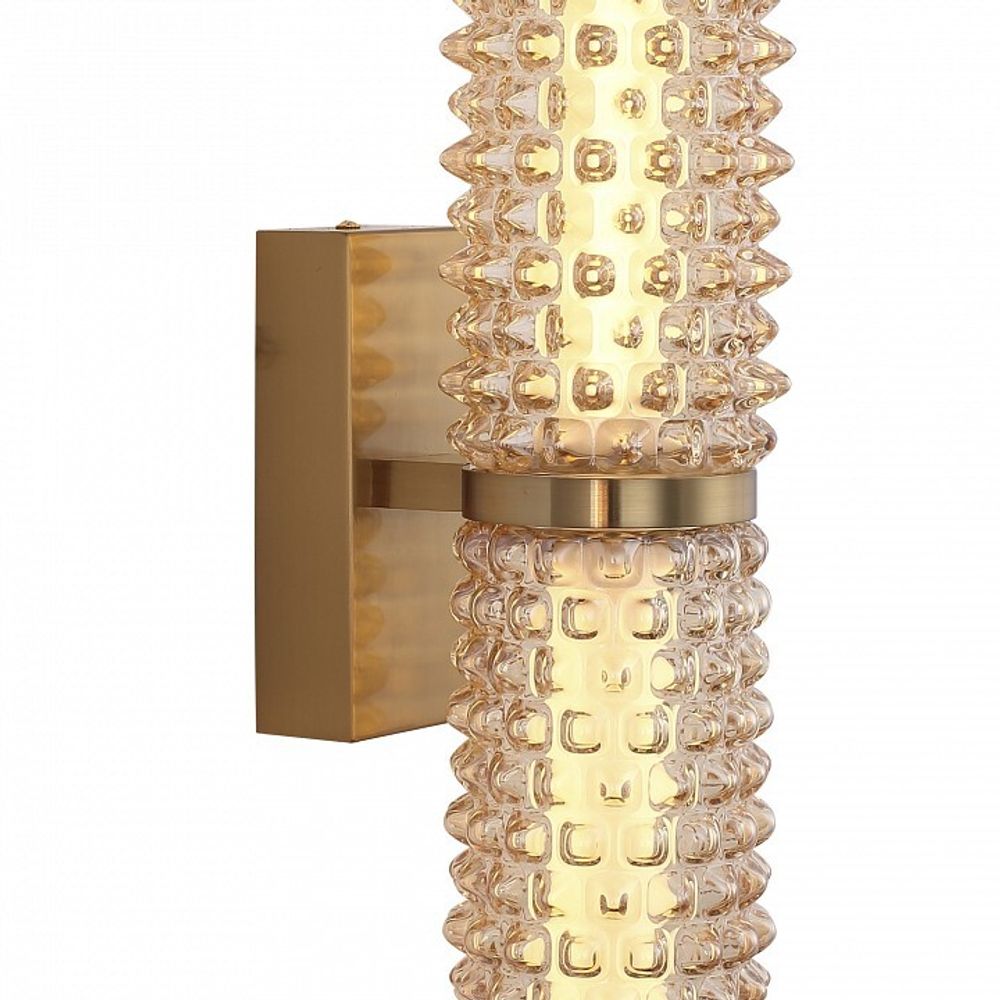 Бра ST-Luce SAGUARO SL6144.301.01