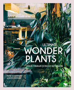 Ultimate Wonder Plants: Your Urban Jungle Interior