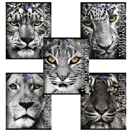 Тетрадь 48л, А5, клетка, Brauberg ЭКО Дикие и свободные