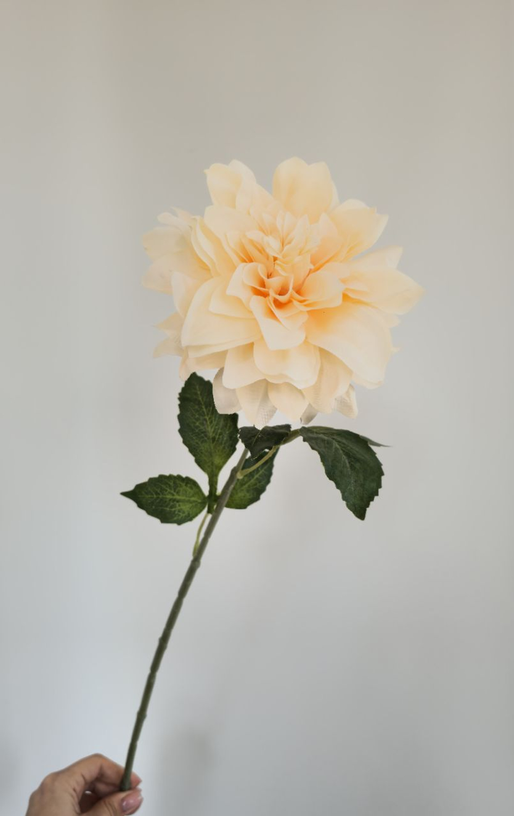 Георгин / Арт 2472