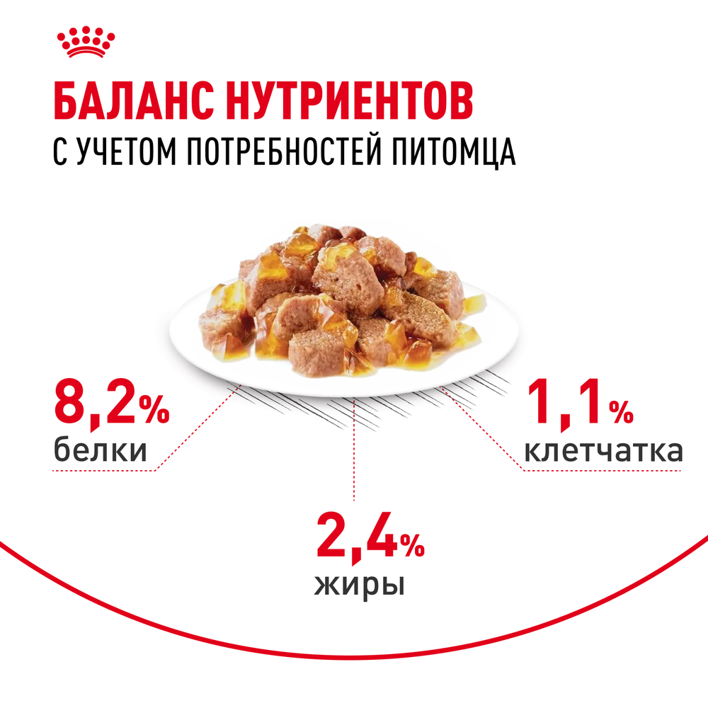 Royal Canin Appetite Control Care Аппетайт Контроль Кэа Корм влажный для взрослых кошек желе 85г