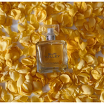 Парфюмерная вода с феромонами "Sun valley" женская, философия аромата J'adore Dior, 100 мл