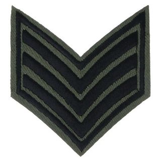 Нашивка Знак отличия ВВС США (зеленая)
