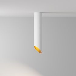 Светильник потолочный Maytoni Lipari C044CL-01-30GU10-W