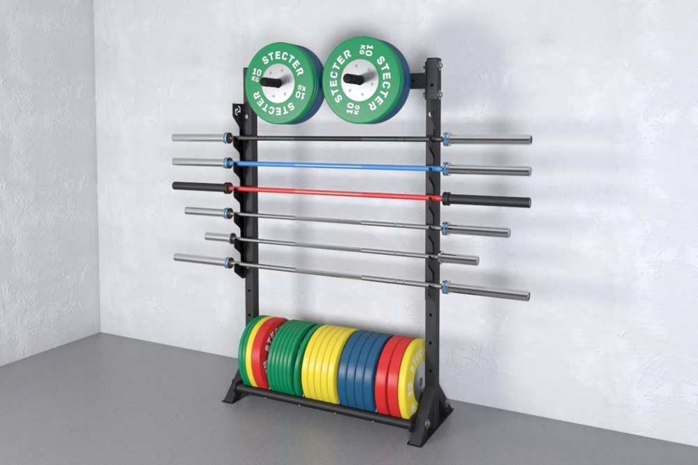 Стеллаж для хранения грифов и дисков 1100-1950