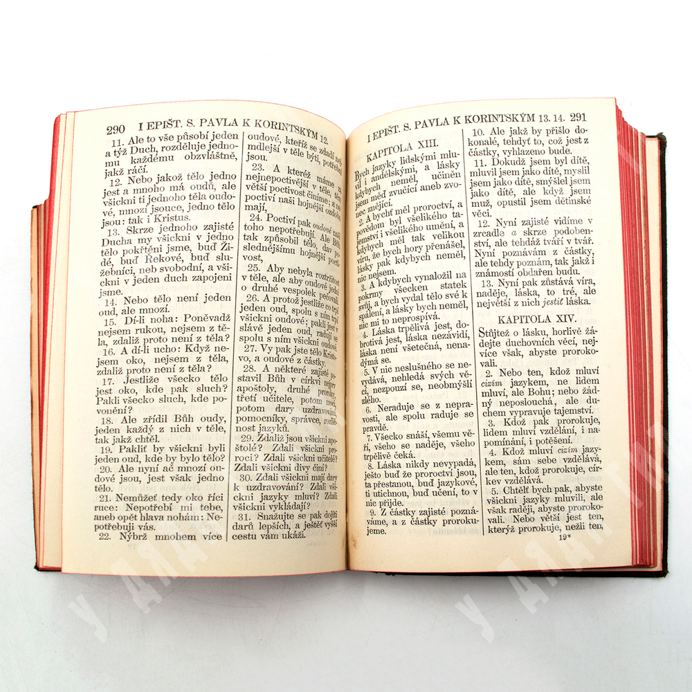 Novy zakon pana a spasitele naseno Jezise Krista, 1906