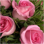 Цветы живые букет из 9 розовых роз с зеленью в упаковке лентой Flor2u