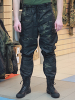 Брюки деми Горка -F р/с