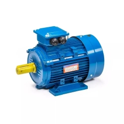 Электродвигатель трехфазный 5АИ 100 S2 IM 1081 4 кВт/3000 об.мин