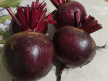 БЕТТОЛЛО F1 семена свеклы (Bejo | Alexagro)