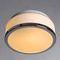 Потолочный светильник Arte Lamp Aqua A4440PL-1CC