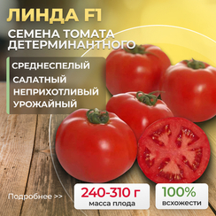ЛИНДА F1 семена томата (Sakata | Alexagro)