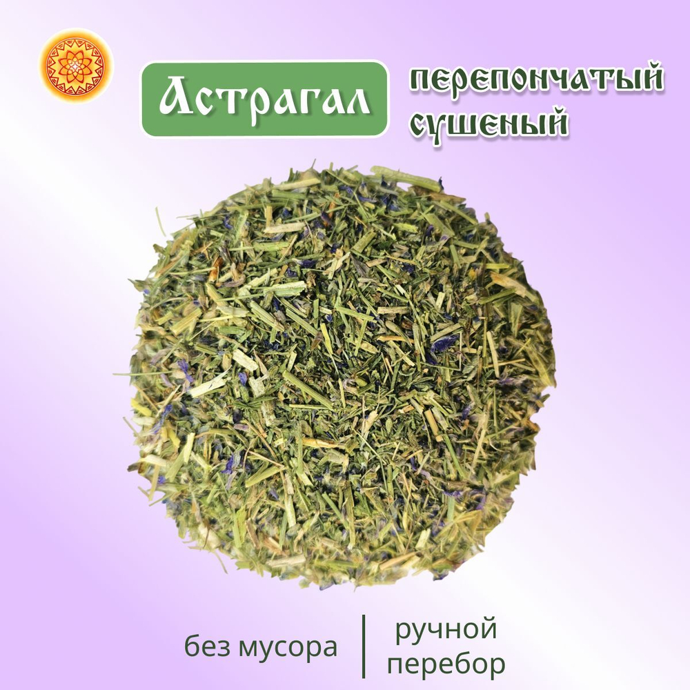 Астрагал перепончатый.