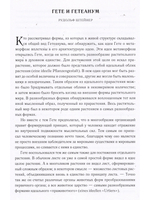 Архитектурная идея Гетеанума
