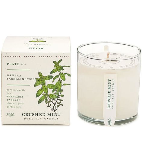 Crushed Mint, свеча The Seeds, Kobo Candles