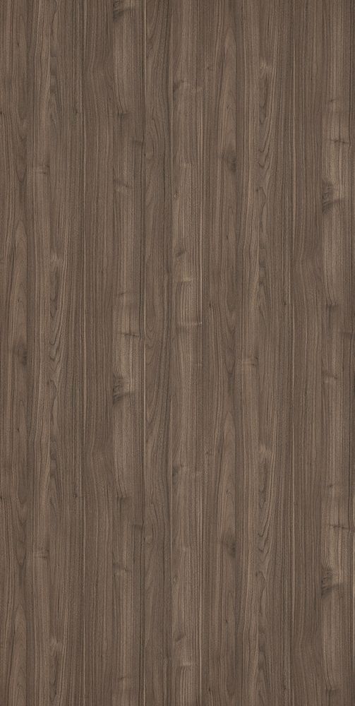 Шёлковый кипарис