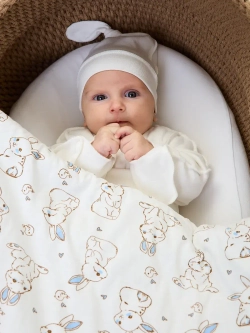 Конверт на выписку новорожденного осень без костюма