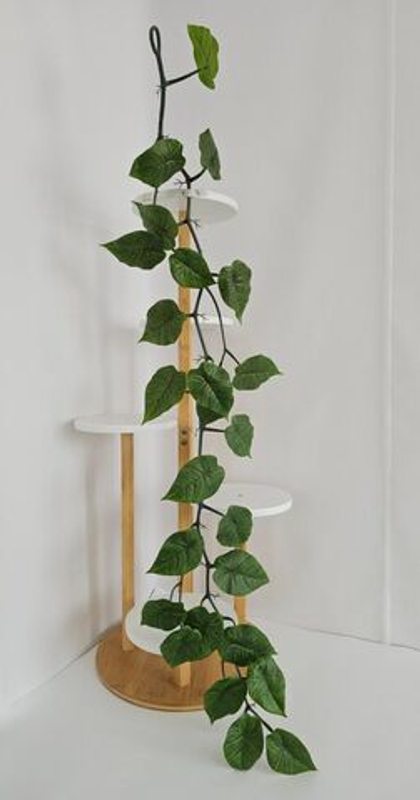 Лиана каменноломка / Арт 4099