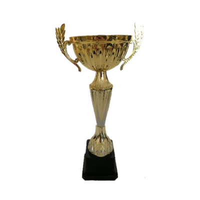 Кубок GD 2103 C