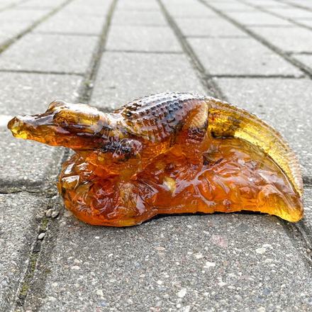 Крокодил средний