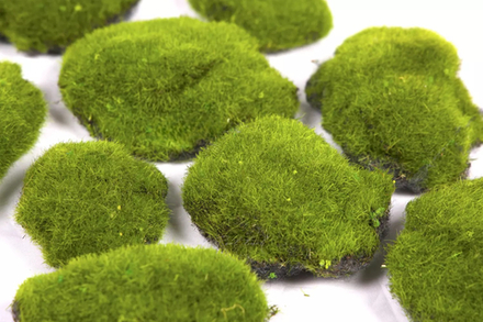 Кочки мха малые (набор из 10 шт)