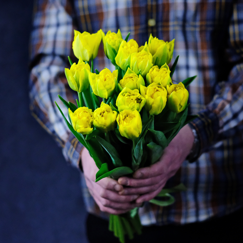 Купить Букет пионовидных тюльпанов «Marie Jo»