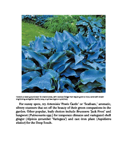 Lawn Gone! Low-Maintenance, Sustainable, Attractive Alternatives for Your Yard