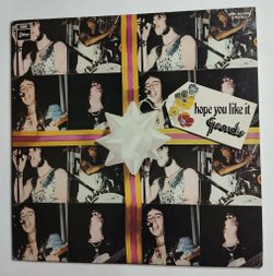 Винтажная виниловая пластинка LP Geordie Hope You Like It (Japan 1973) (No Obi)