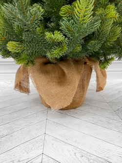 Ель TreeDeLuxe Кремлевская премиум 100 % литая 90см в мешочке зеленая