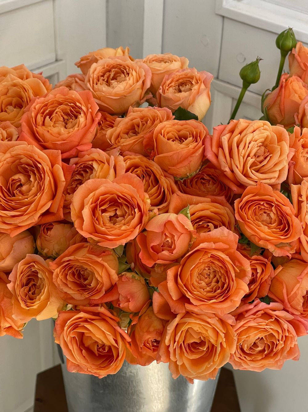 Пионовидная кустовая роза в оранжевом оттенке